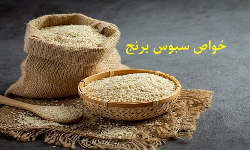 دکتر معصومه مرادی