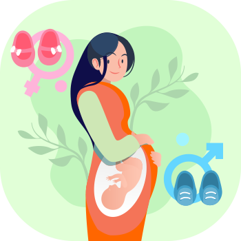 رژیم تعیین جنسیت جنین قبل از بارداری